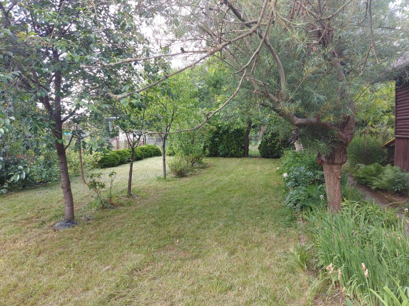 Działka ROD PEONIA Michałów Reginów Legionowo - 04 Działka ROD PEONIA Michałów Reginów Legionowo - 04