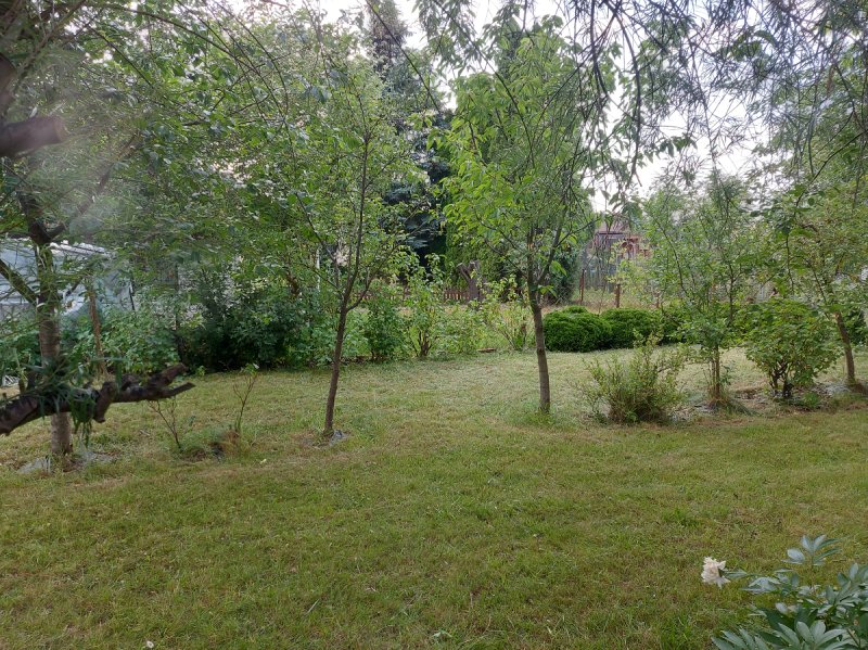 Działka ROD PEONIA Michałów Reginów Legionowo - 05 Działka ROD PEONIA Michałów Reginów Legionowo - 05