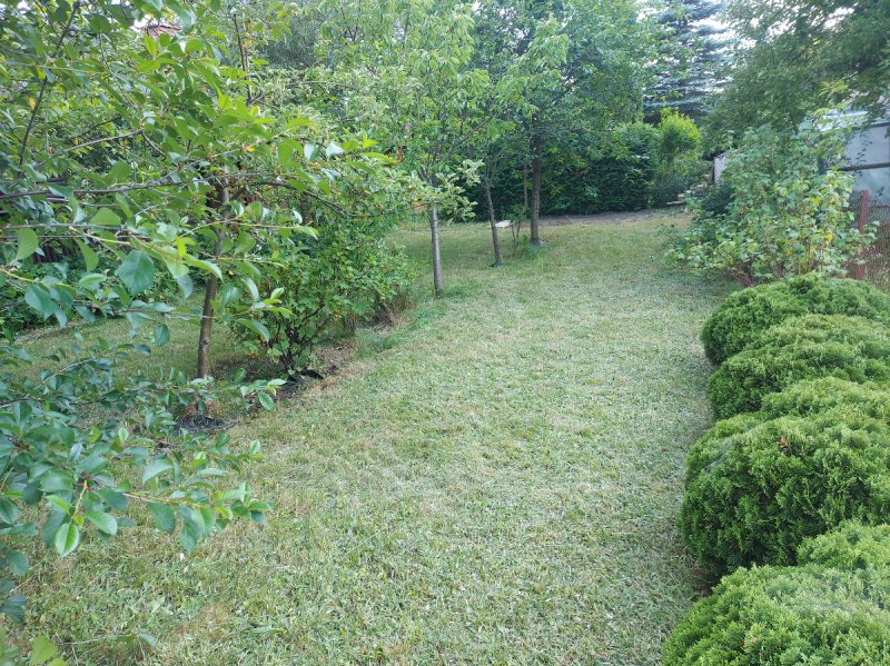 Działka ROD PEONIA Michałów Reginów Legionowo - 06 Działka ROD PEONIA Michałów Reginów Legionowo - 06