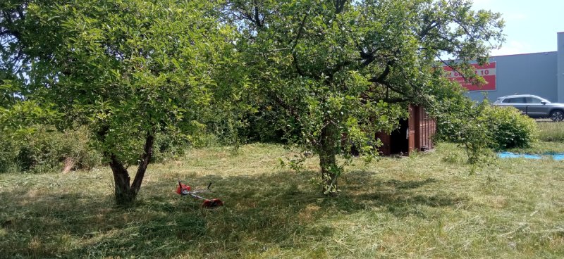 Działka rekreacyjna ROD Bażant na Psim Polu