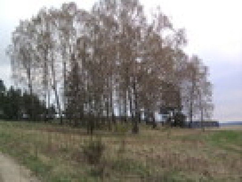 Duża Działka budowlana z małym własnym parkiem