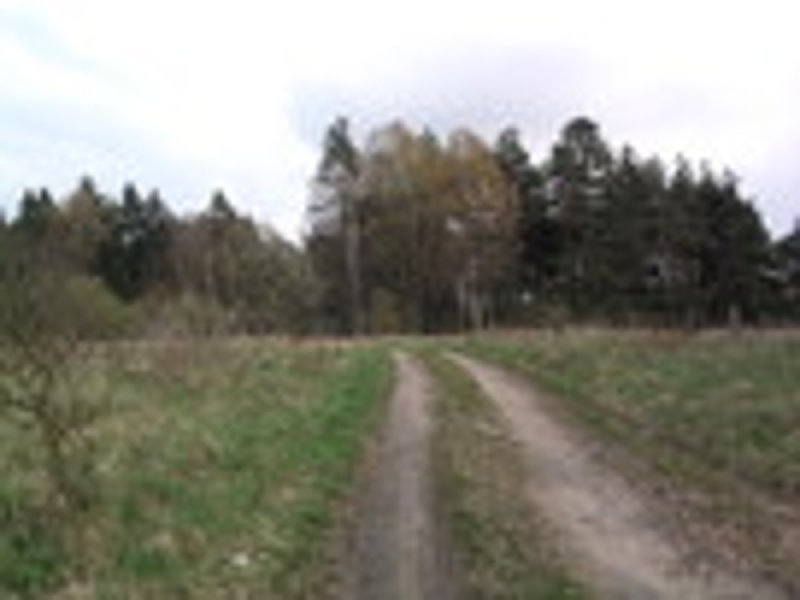 Atrakcyjna duża Działka budowlana z małym własnym parkiem - 01 Atrakcyjna duża Działka budowlana z małym własnym parkiem - 01