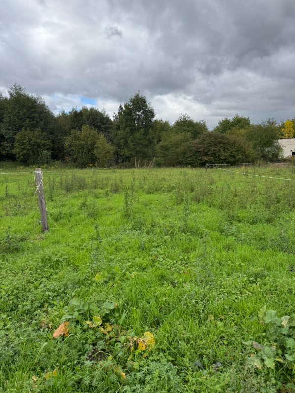 Działka budowlana - 01 Działka budowlana - 01