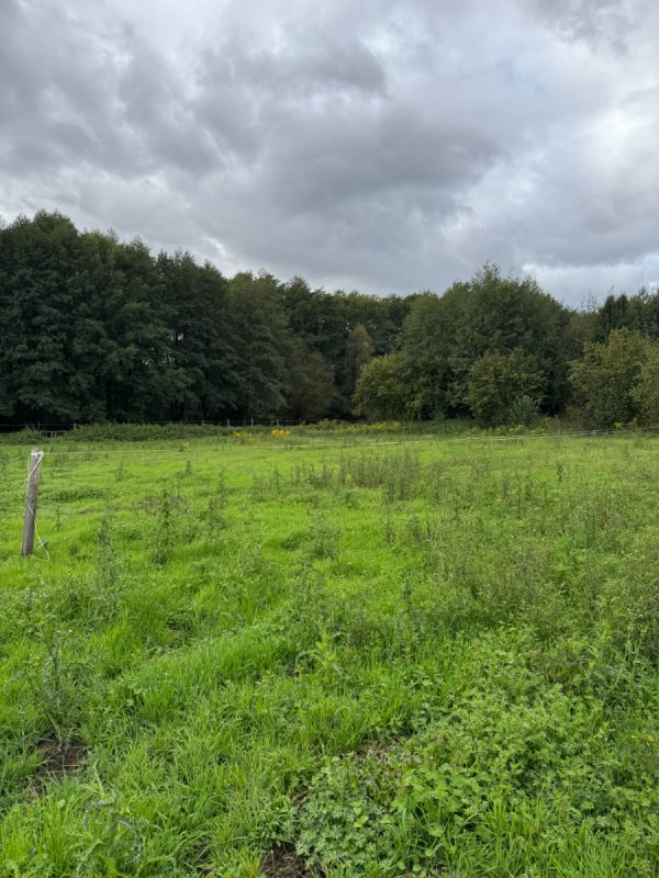 Działka budowlana - 02 Działka budowlana - 02