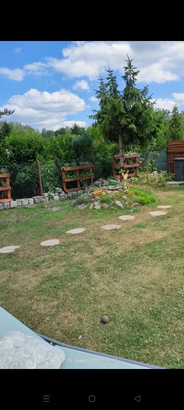 Sprzedam R.O.D w katowicach - 03 Sprzedam R.O.D w katowicach - 03