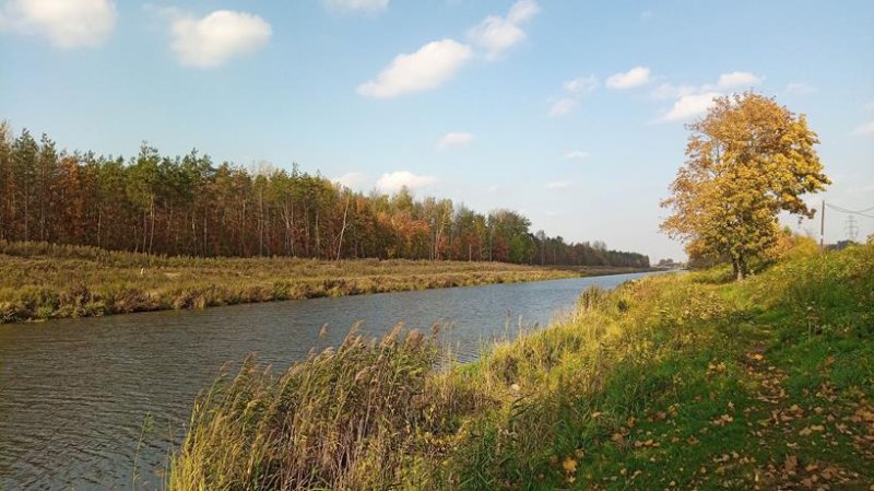 Białołęka ul. Białołęcka działka budowlana 1000m2 - 06 Białołęka ul. Białołęcka działka budowlana 1000m2 - 06