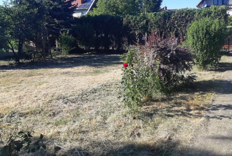 Sprzedam dom z piękną działką (Mielec Niski Borek) - 08 Sprzedam dom z piękną działką (Mielec Niski Borek) - 08