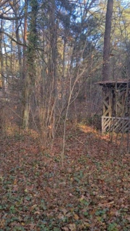 Działka Budowlana Leśna w Sokolniki Las