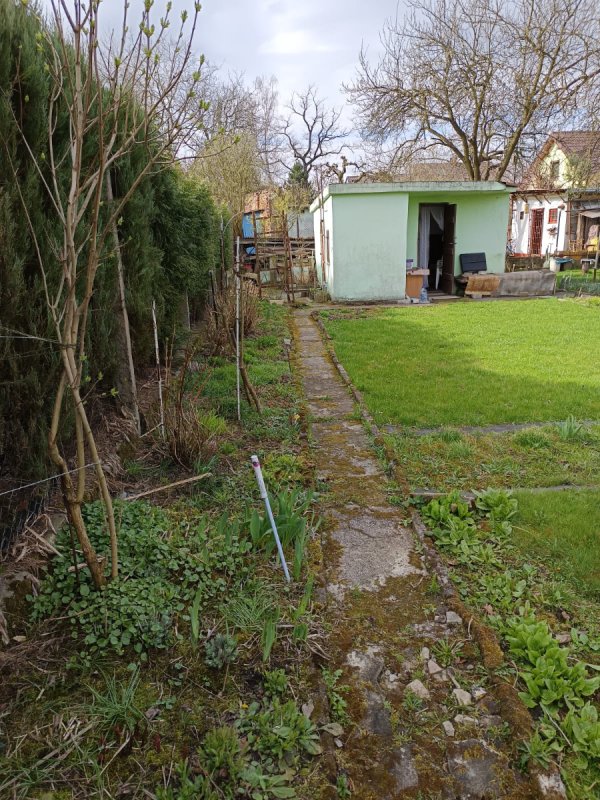 Dzialka ogrodowa - 03