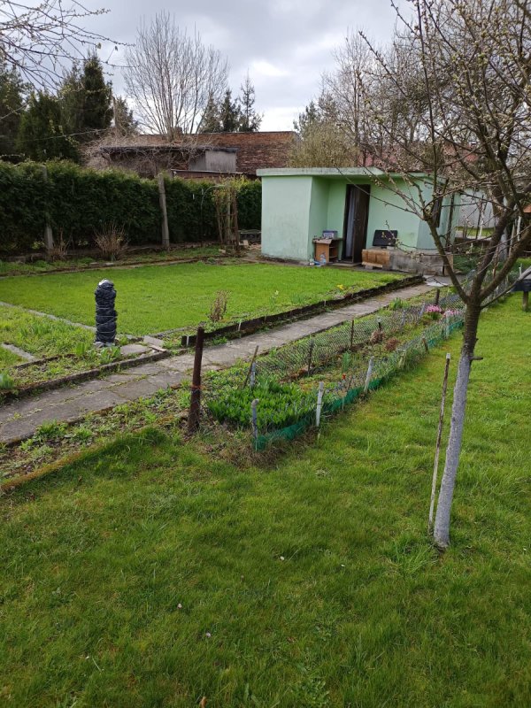 Dzialka ogrodowa - 04