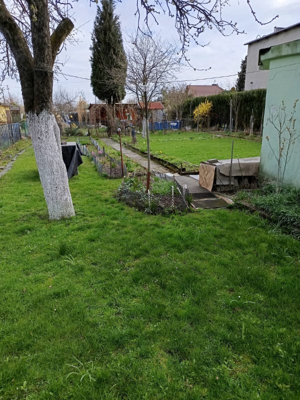 Dzialka ogrodowa - 05