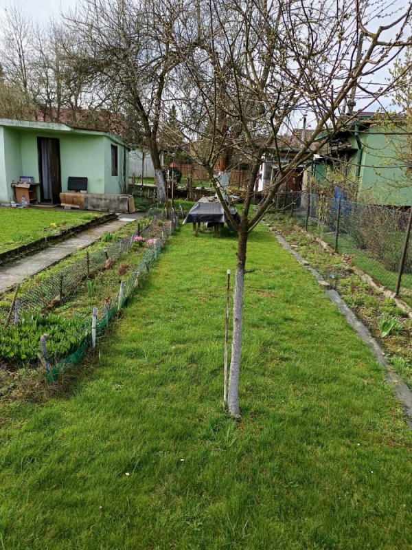 Dzialka ogrodowa - 06