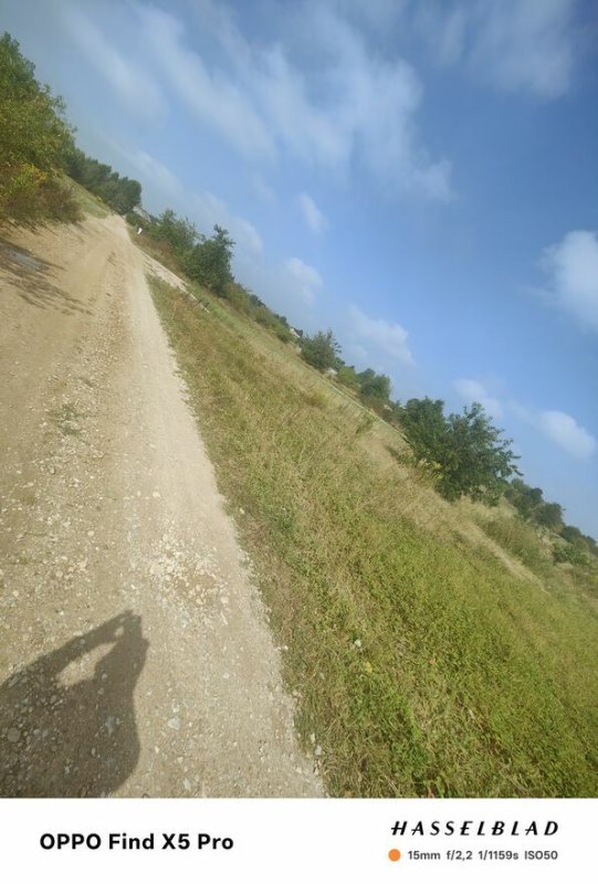 41 arów Działka rolno budowlana Tokarnia gmChęciny