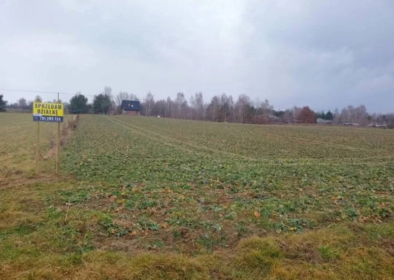 Sprzedam działki budowlane Kębło od 25ar do 1,5ha