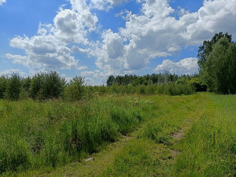 Działka bud inwest. o pow.1,2 ha m2,Piotrków Tryb. - 01