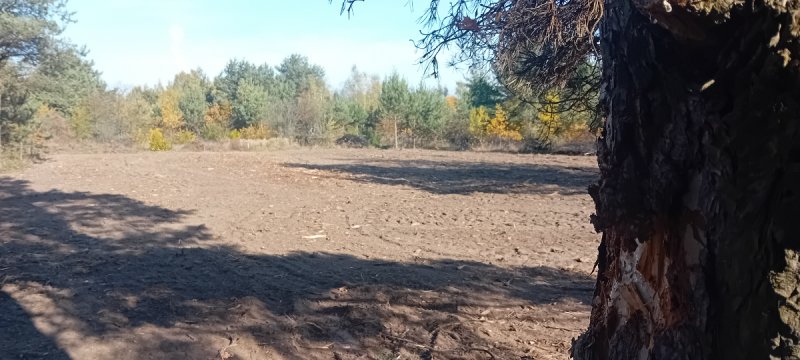 Atrakcyjna działka z dostępem do mediów,światłowód - 02 Atrakcyjna działka z dostępem do mediów,światłowód - 02