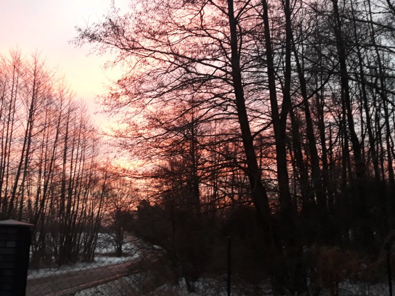 Atrakcyjna działka z dostępem do mediów,światłowód - 03 Atrakcyjna działka z dostępem do mediów,światłowód - 03