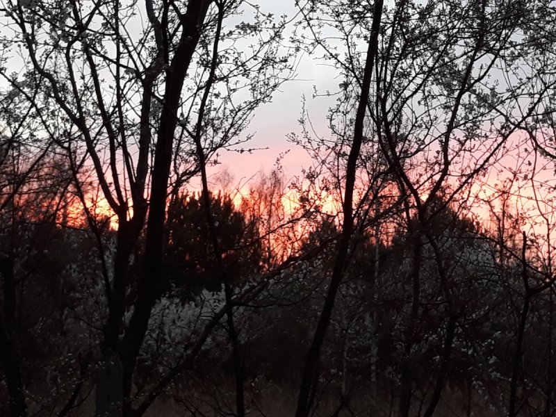 Atrakcyjna działka z dostępem do mediów,światłowód - 04 Atrakcyjna działka z dostępem do mediów,światłowód - 04