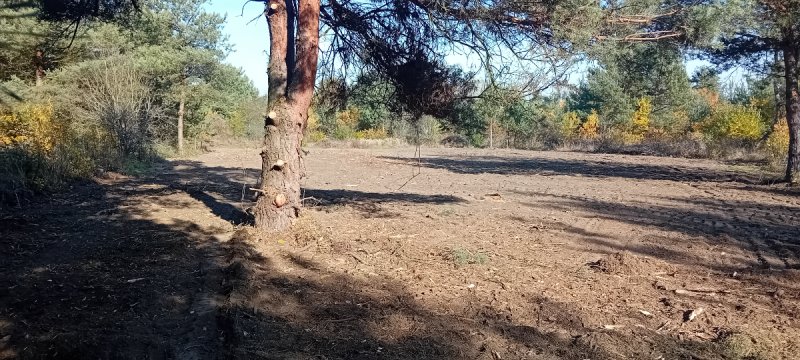 Atrakcyjna działka z dostępem do mediów,światłowód - 08 Atrakcyjna działka z dostępem do mediów,światłowód - 08