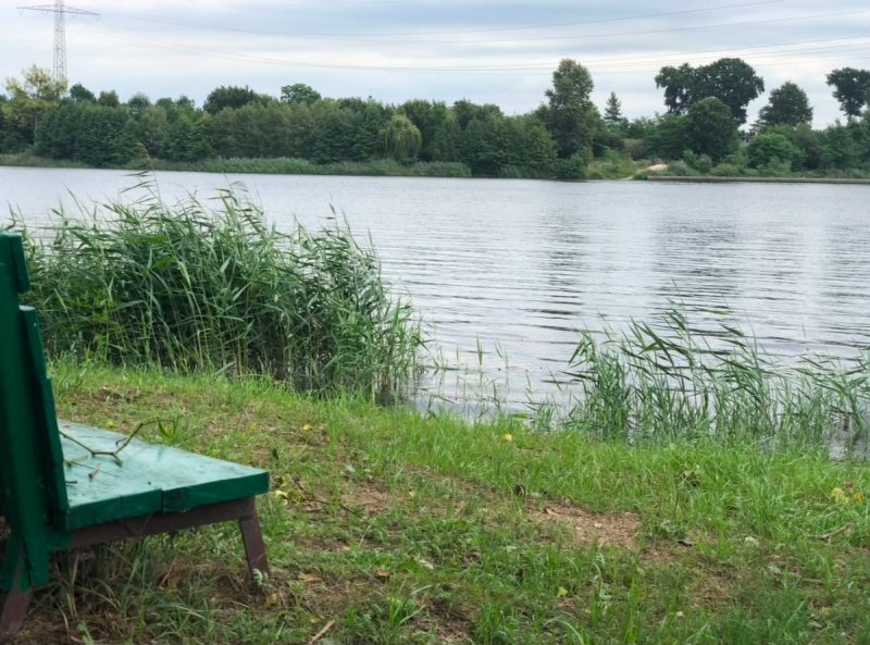 Działka z linią brzegową Jezioro Mikorzyn/Ślesin - 01 Działka z linią brzegową Jezioro Mikorzyn/Ślesin - 01