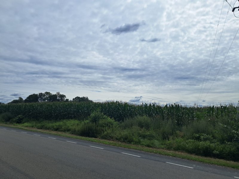 Działka rolno inwestycyjna pow.4,03 ha,Blizanówek