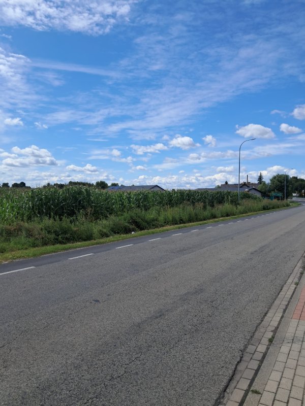 Działka rolno inwestycyjna pow.4,03 ha,Blizanówek - 03